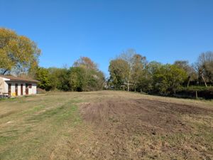 Photo 42- click for photo gallery